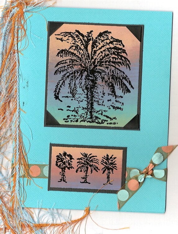 Palm Tree Birthday Card