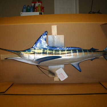 Finally, my fish Arrived!!!