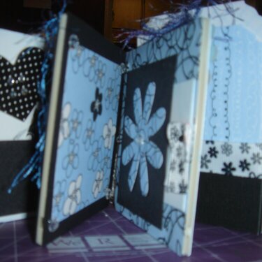Mini Album, black &amp; white with a touch of color, open side view
