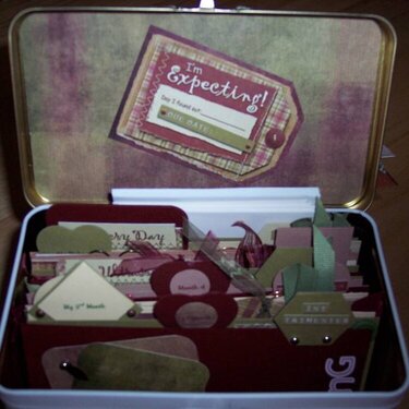 Pregnancy Altered Lunch Box