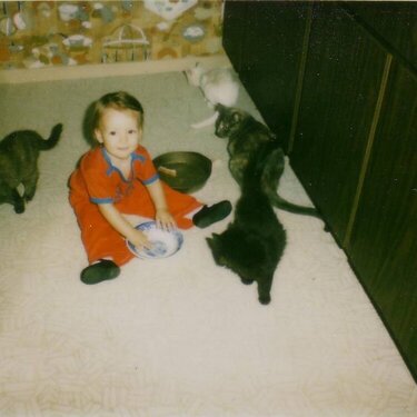 Stacy and the Kitties