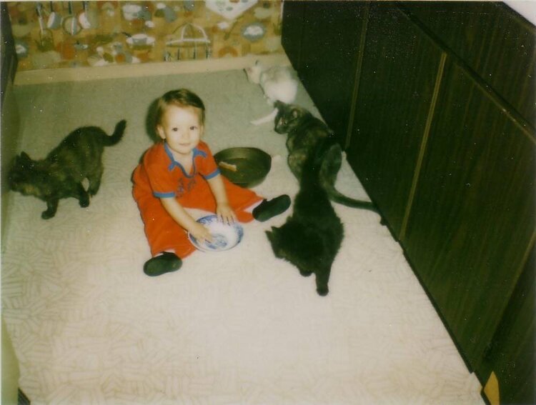 Stacy and the Kitties