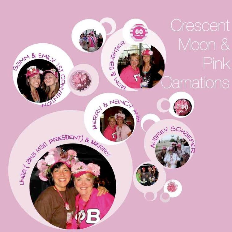 Crescent Moons and pink carmations