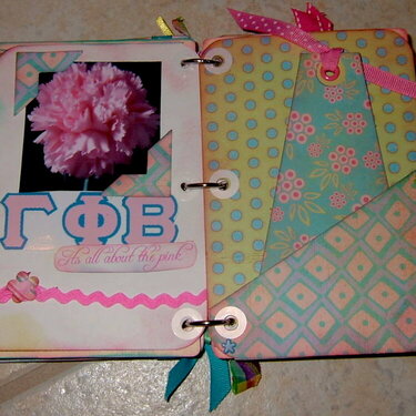 Big Sis  (sorority) mini album- all about the pink