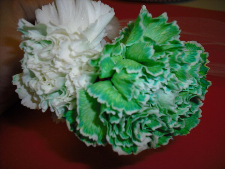 15. Flower dyed green for St. Patrick&#039;s Day {6 pts.}