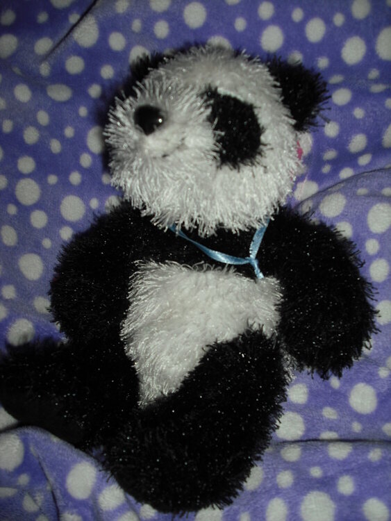 9. A panda bear {9 pts.}