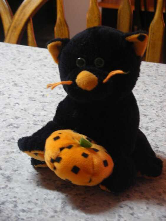 2. A Black Cat
