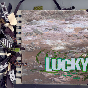 Cover of my &quot;Lucky&quot; book