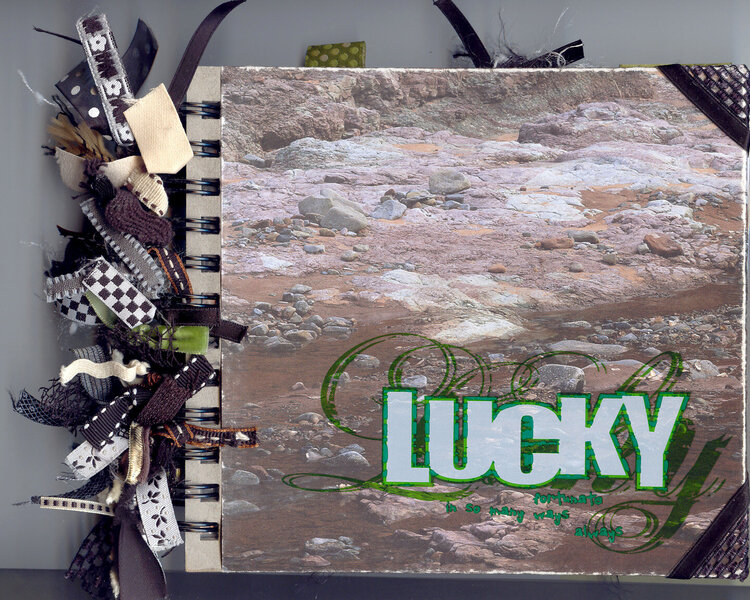 Cover of my &quot;Lucky&quot; book