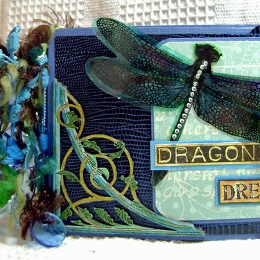 Dragonfly Dreams Album
