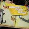 hand bound mini book of cats and quotes