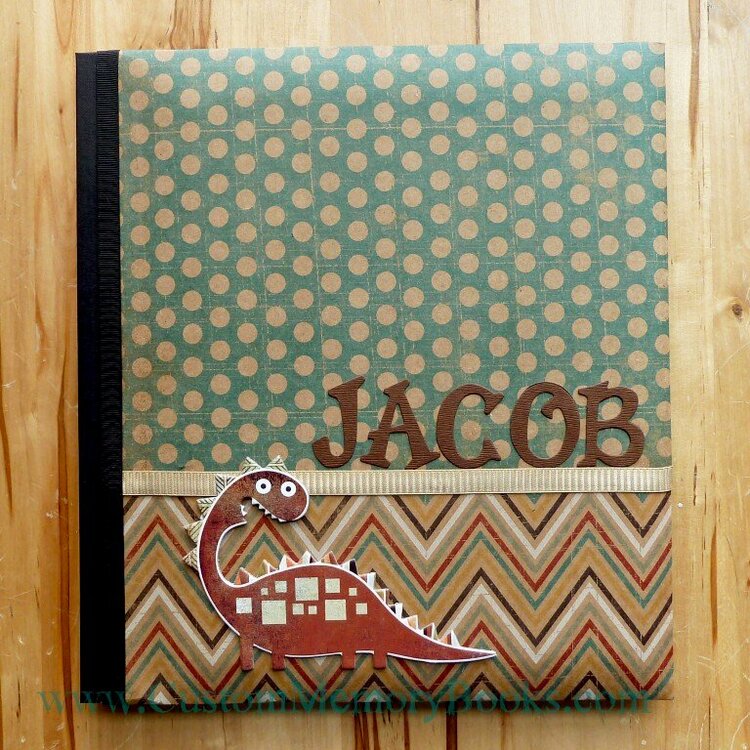Teal and Brown Chevron Dino Baby Book