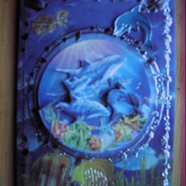 Dolphin card