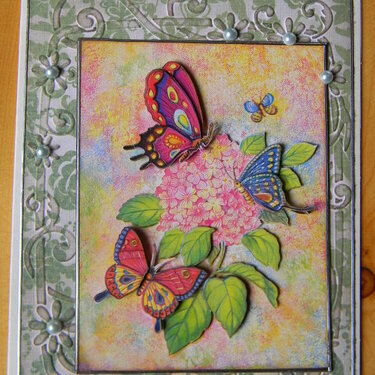 3D butterfly card