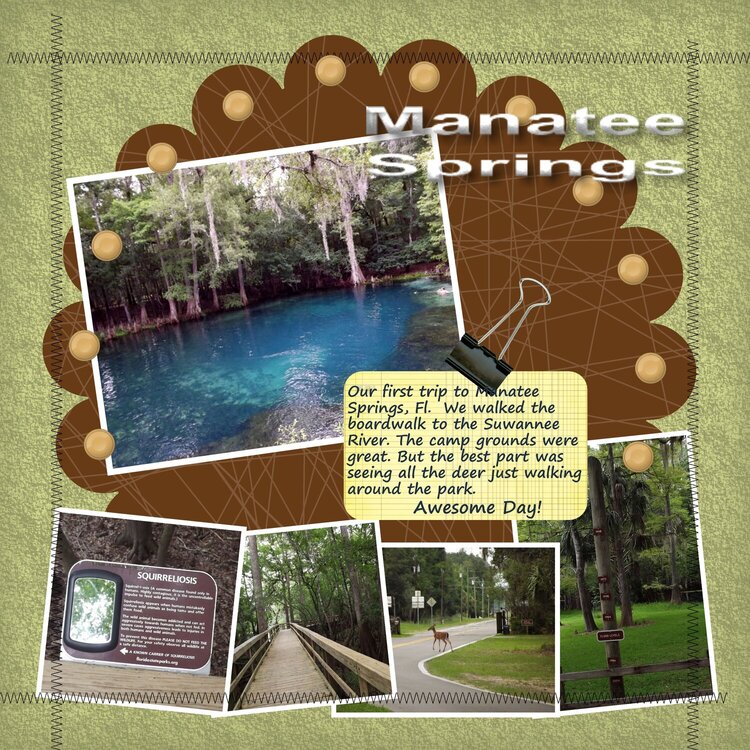 Manatee Springs