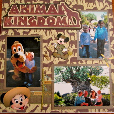 animal kingdom