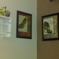 My cute animal print pictures!