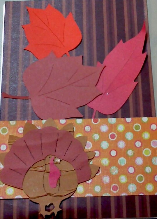 Fall or Thanksgiving