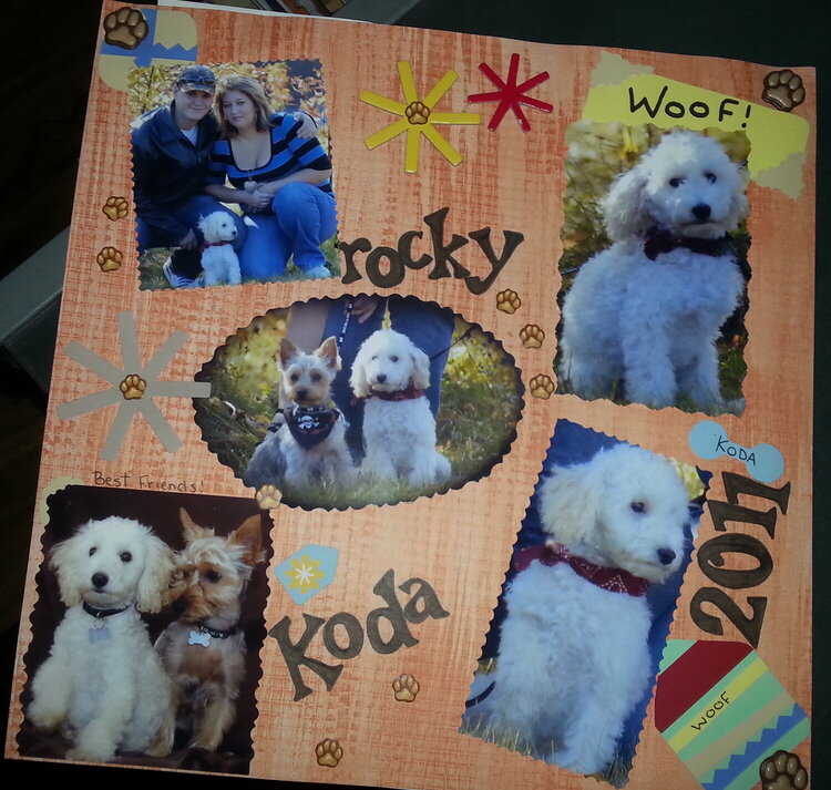 Koda / Rocky