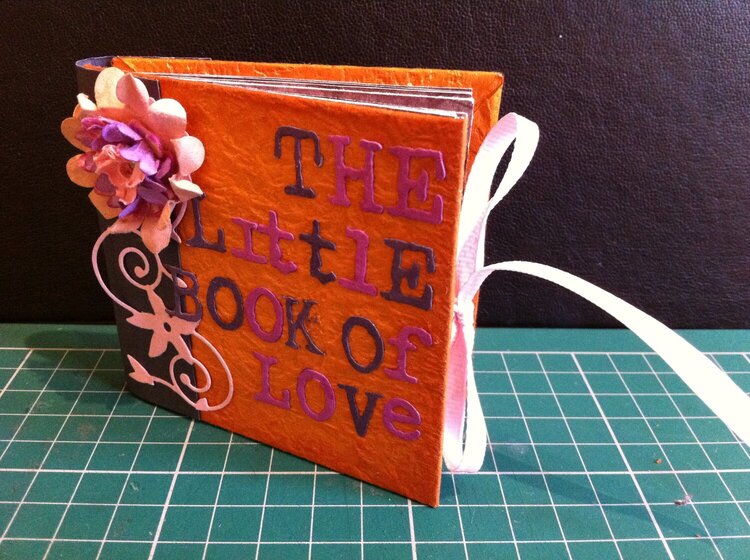 The little book of love mini album