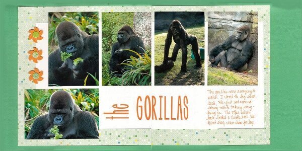 The Gorillas