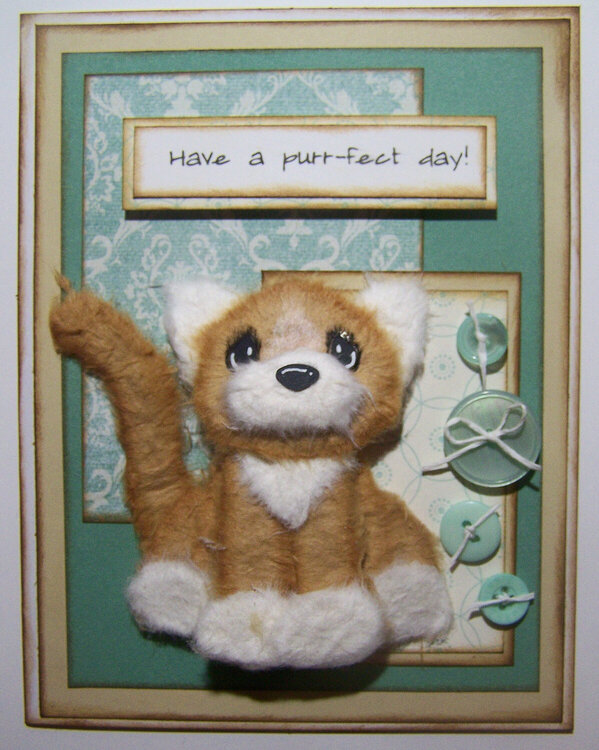 Tear Bear Cat Birthday Card