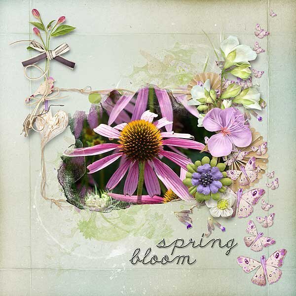 Spring Bloom