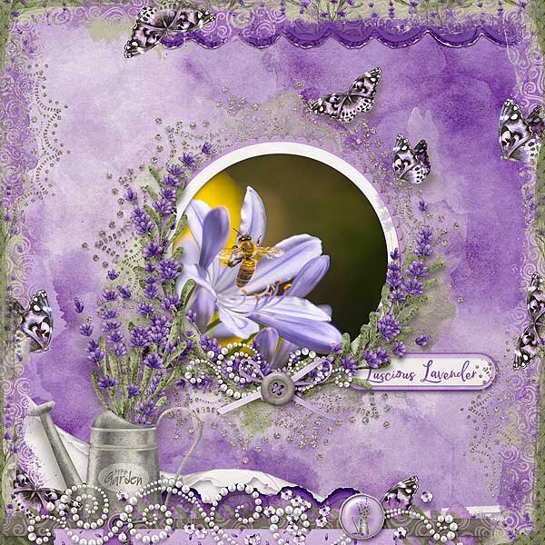 Luscious Lavender