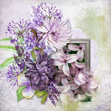 Luscious Lilacs
