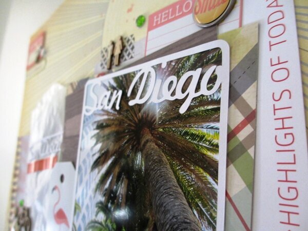 San Diego (Palm Trees)