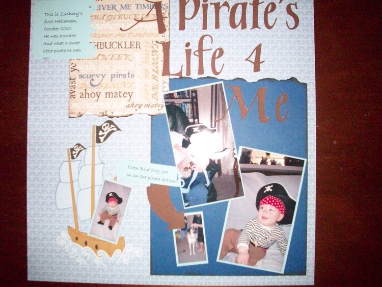 A Pirate&#039;s Life 4 Me