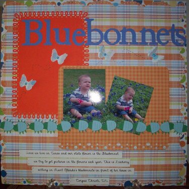 Bluebonnets