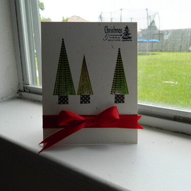 Christmas Trees Sold Here...