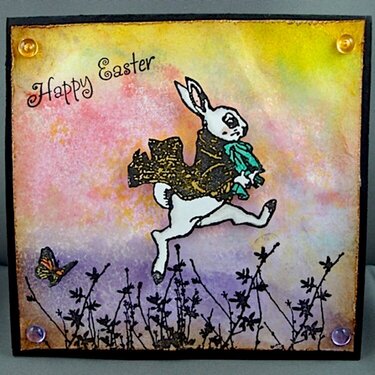 Happy Easter Mr. Rabbit