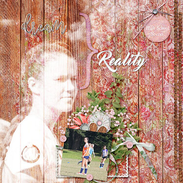 Dream verses Reality