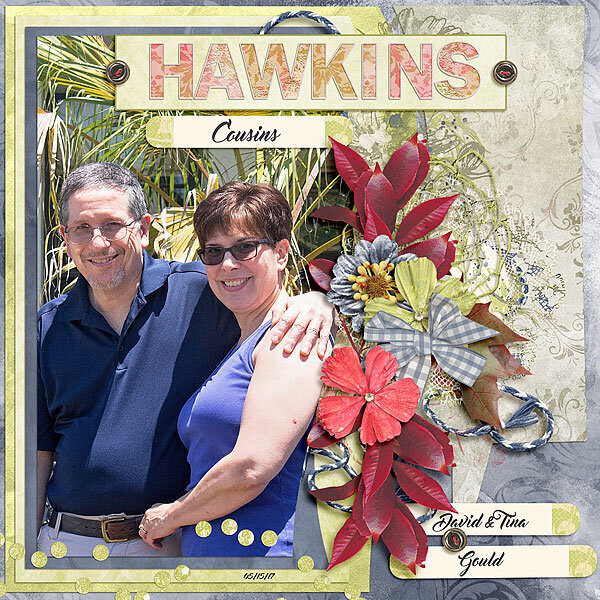 Hawkins Cousins
