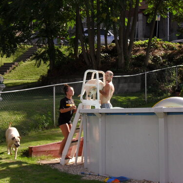 ***Marley climbs our ladder to go swimming***