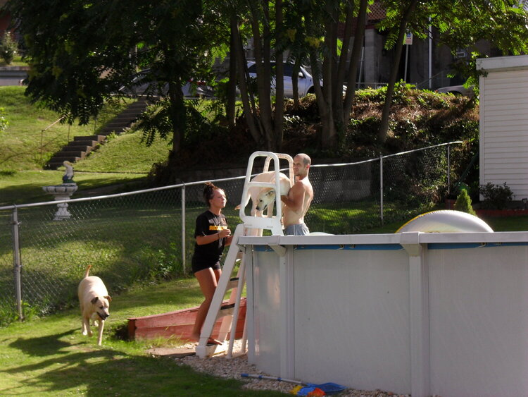 ***Marley climbs our ladder to go swimming***