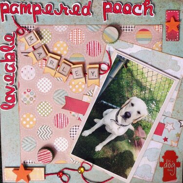 **loveable pampered pooch**