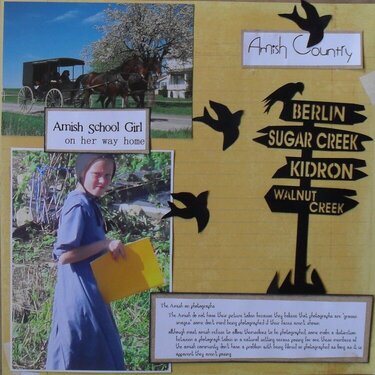 ***An Amish School Girl***
