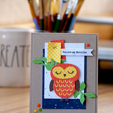 You are my Favorite! Happy Owl Card!