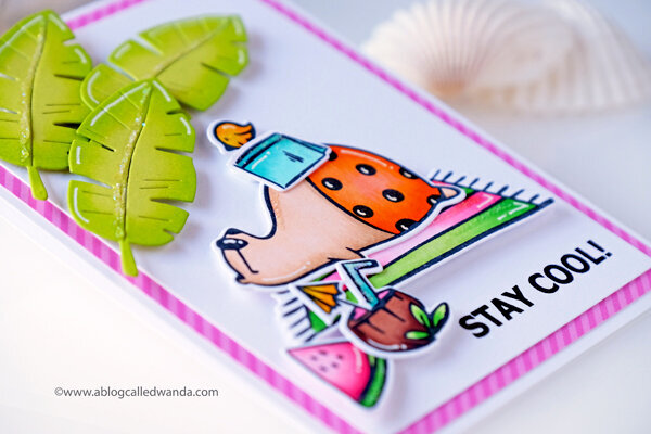 Summer Beach Bear! Waffle Flower Stamps and Dies
