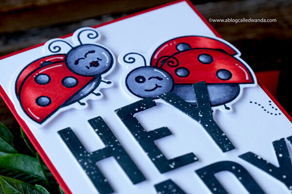 Hey Lady! Fun Ladybugs Card!