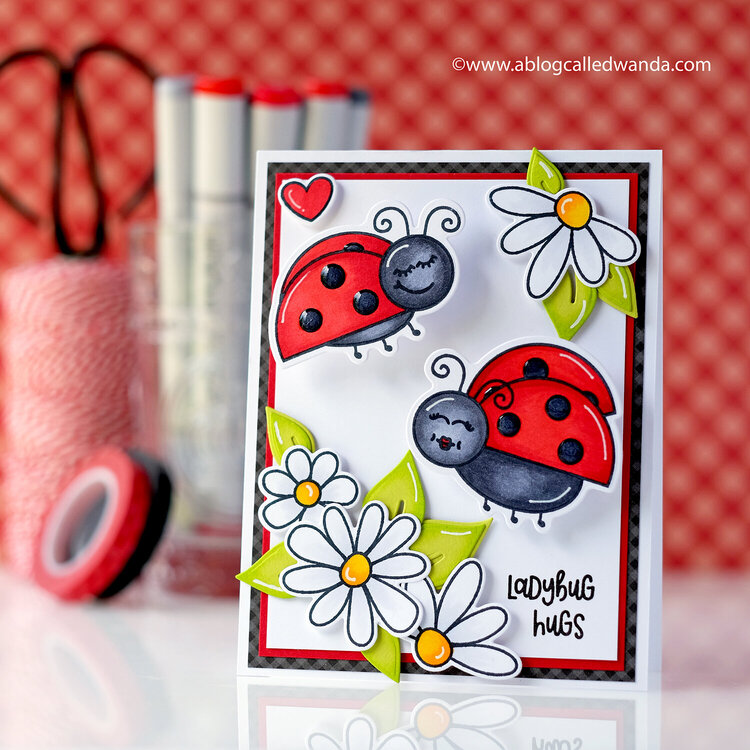 Ladybug hugs!