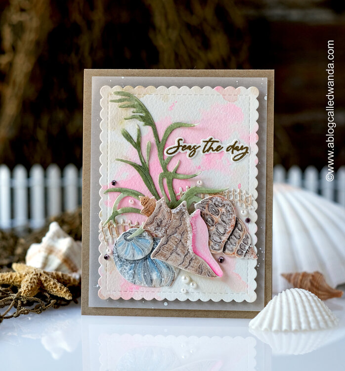 Watercolor Seashells Card