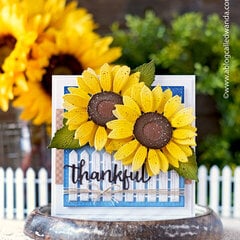 Sunny Happy Sunflowers!