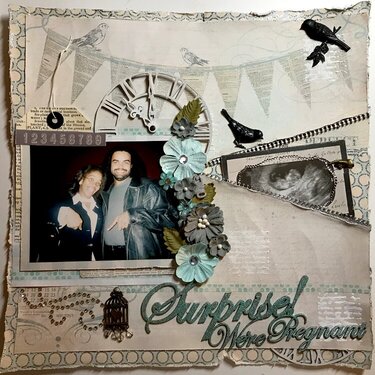 Surprise Were Pregnant