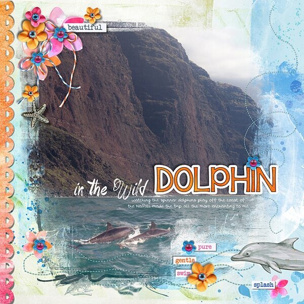 Dolphins of NaPali coast