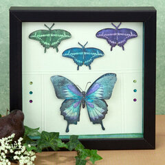 Butterfly Shadowbox by Holly Craft