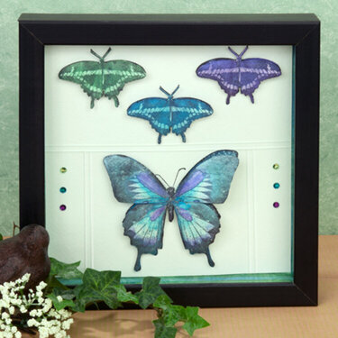 Butterfly Shadowbox by Holly Craft